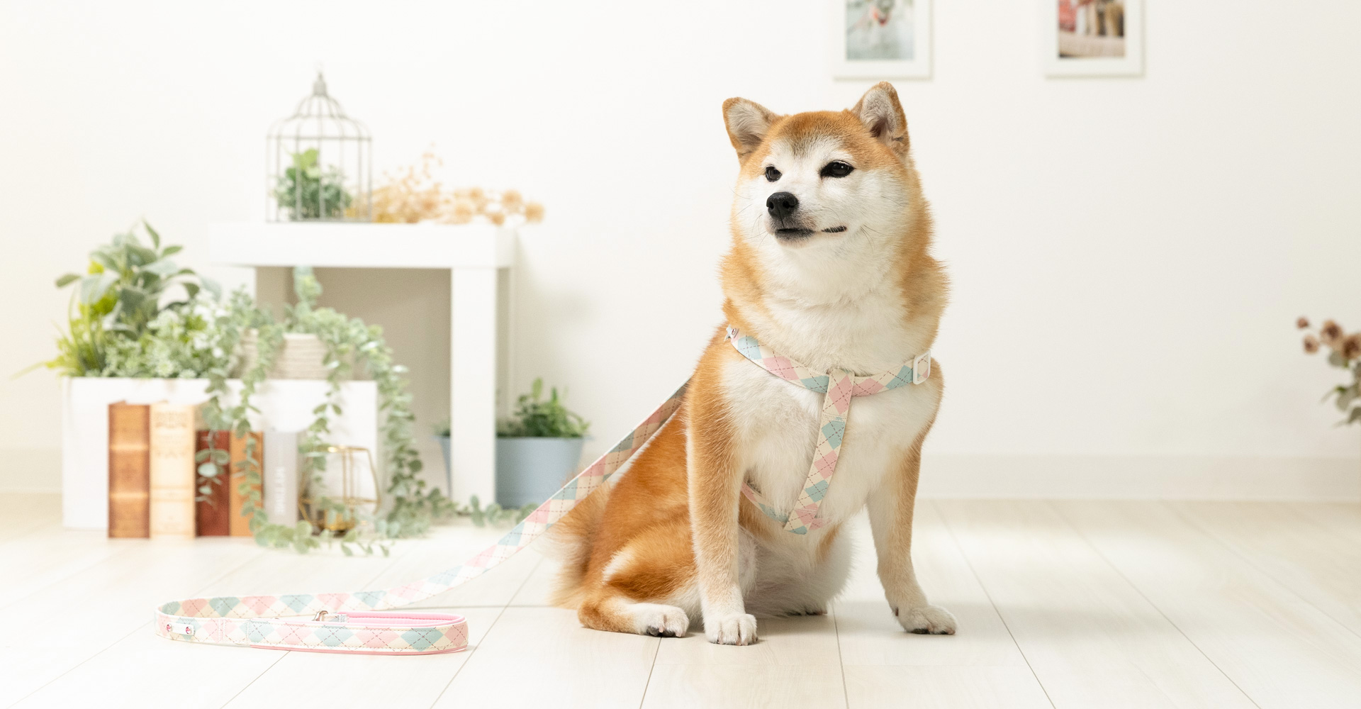 商品の画像
