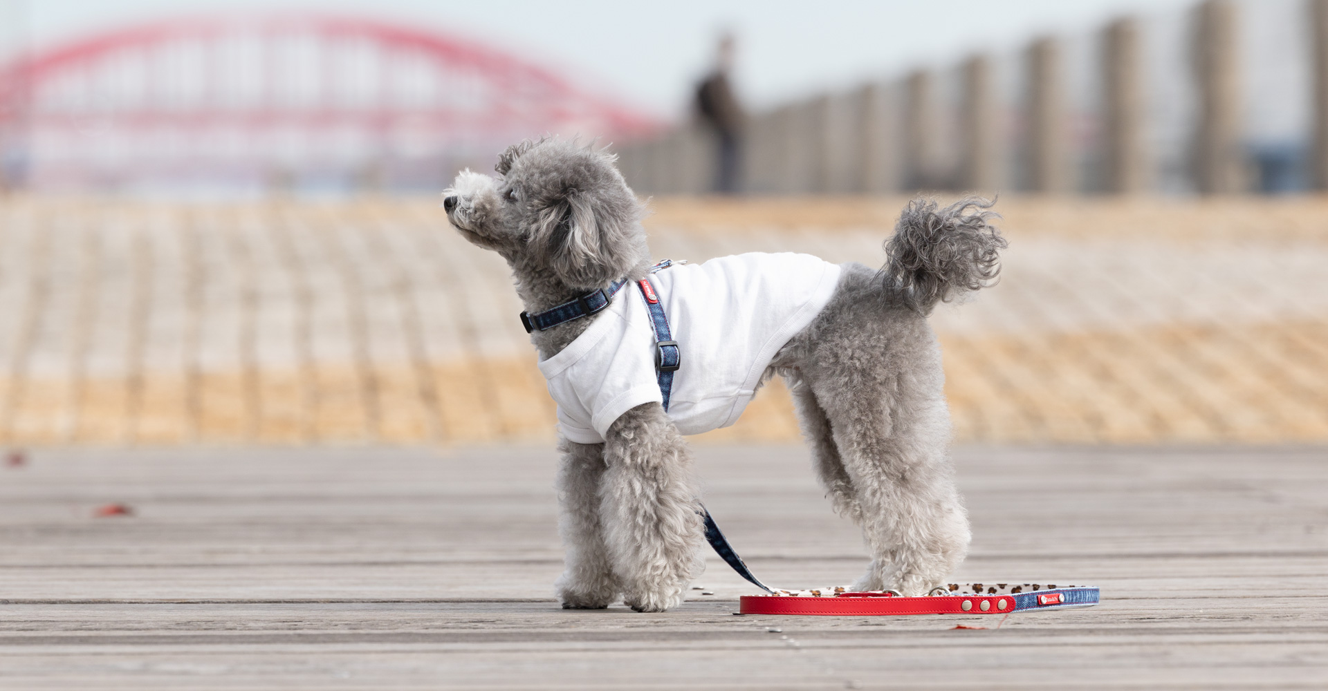 オンラインショッピング：Toto & Pal（トトアンドパル）公式通販