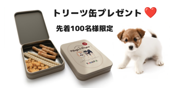 トリーツ缶プレゼントキャンペーンのお知らせ